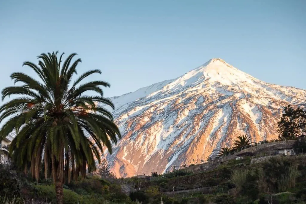 Lägenhet Vacanze Da Sogno San Miguel de Abona Spanien